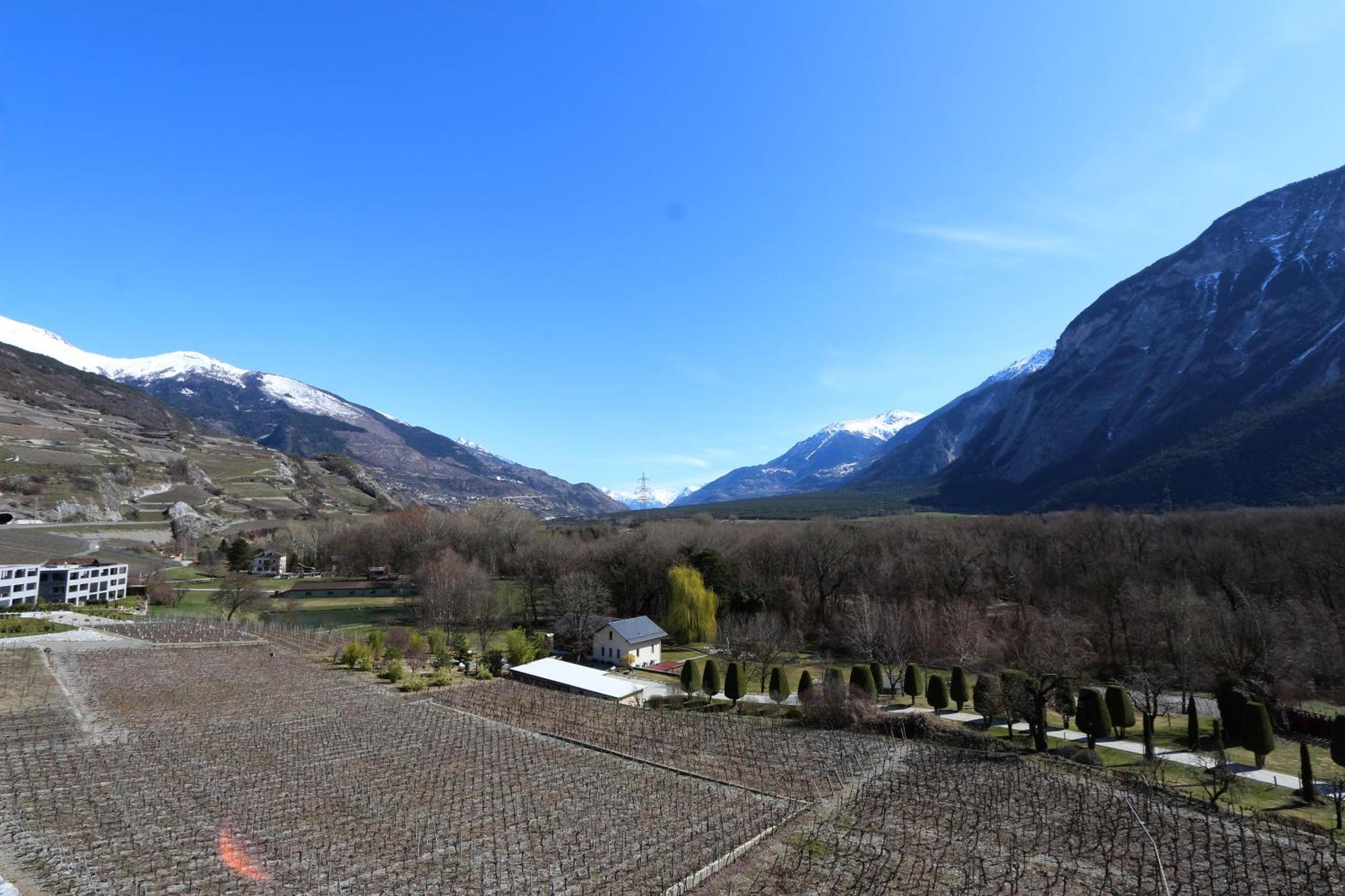 Bnb Vino Veritas Salgesch Экстерьер фото