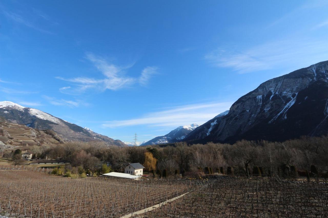 Bnb Vino Veritas Salgesch Экстерьер фото